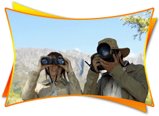 Bird Watching in Bharatpur Rajasthan