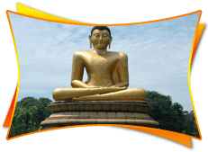 Buddha Tour India