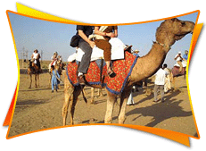 Desert Safari Rajasthan