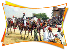 Pushkar Camel Fair Tours
